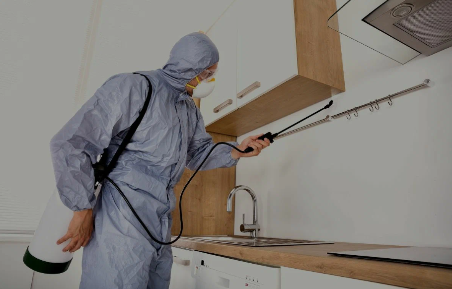 Montclair pest managment